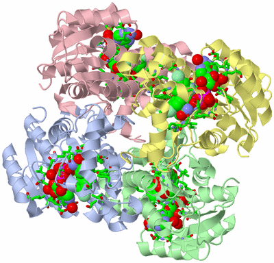 Image Asym./Biol. Unit - sites