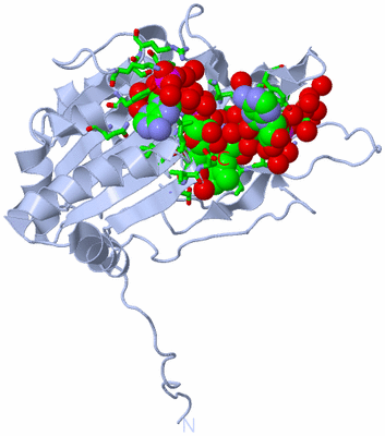 Image Biol. Unit 1 - sites