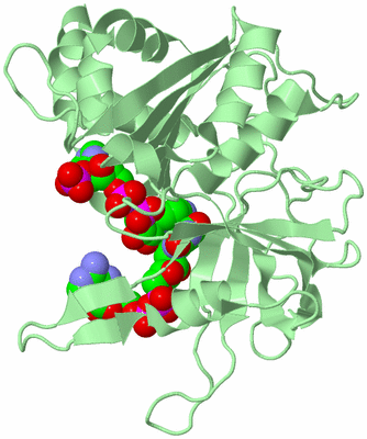 Image Biological Unit 2