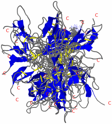 Image NMR Structure - all models