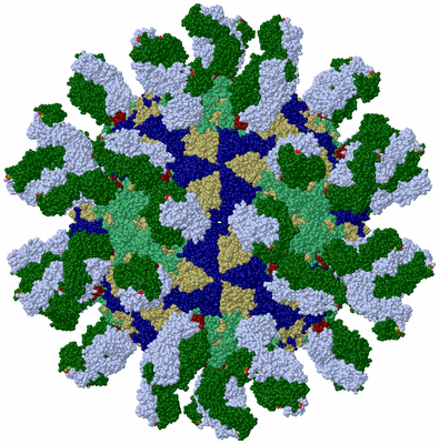 Image Biological Unit 1