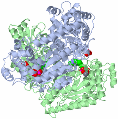 Image Asym./Biol. Unit