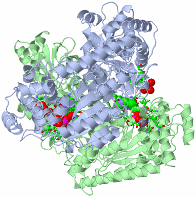 Image Asym./Biol. Unit - sites