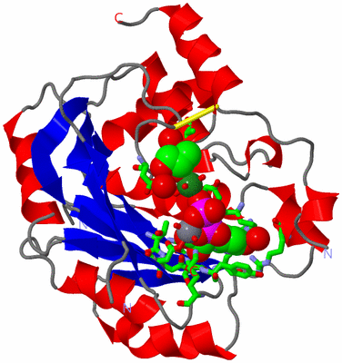 Image Asym./Biol. Unit - sites