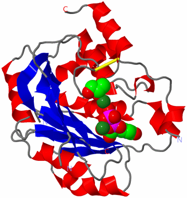 Image Asym./Biol. Unit