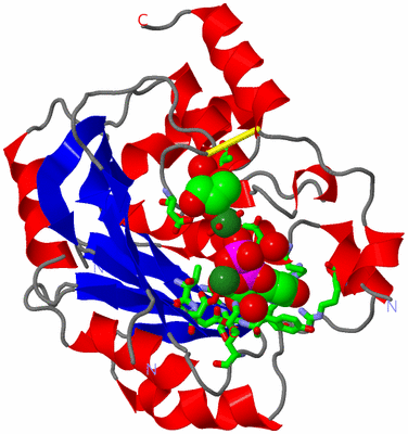 Image Asym./Biol. Unit - sites