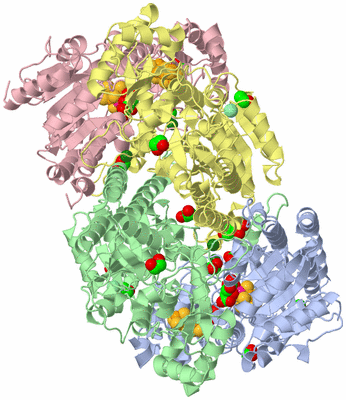 Image Asym./Biol. Unit