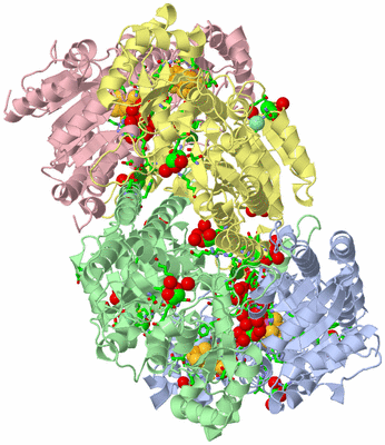 Image Asym./Biol. Unit - sites