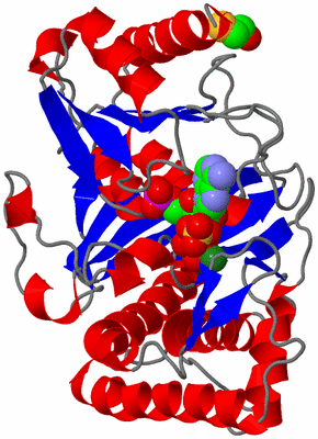 Image Asym./Biol. Unit