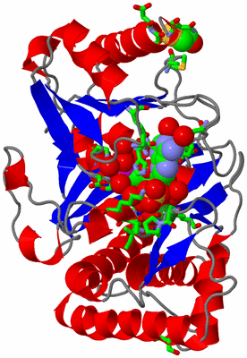 Image Asym./Biol. Unit - sites