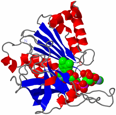 Image Asym./Biol. Unit