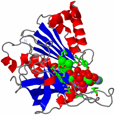 Image Asym./Biol. Unit - sites