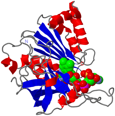 Image Asym./Biol. Unit