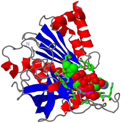 Image Asym./Biol. Unit - sites