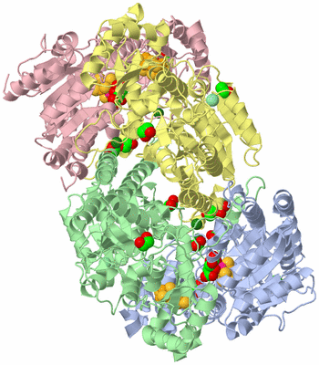 Image Asym./Biol. Unit