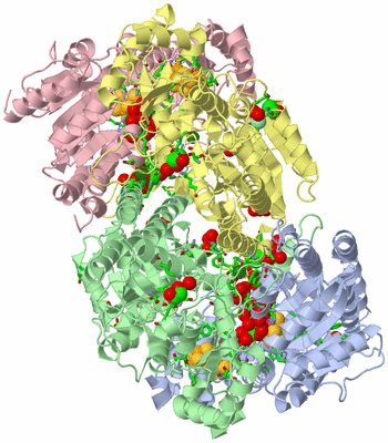 Image Asym./Biol. Unit - sites