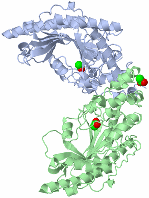 Image Biological Unit 1