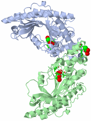 Image Biol. Unit 1 - sites