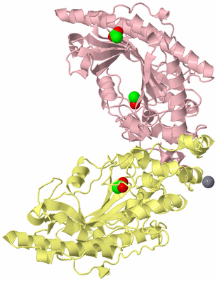 Image Biological Unit 2