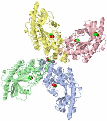 Image Biological Unit 3