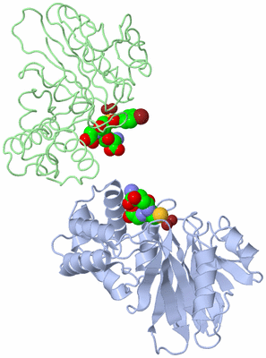 Image Asym./Biol. Unit