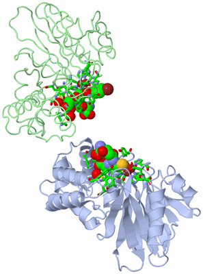 Image Asym./Biol. Unit - sites