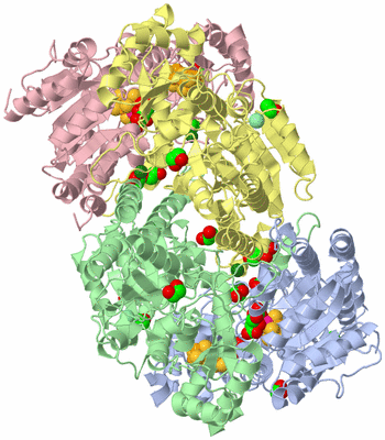 Image Asym./Biol. Unit