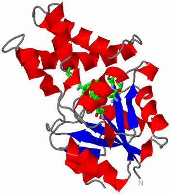 Image Asym. Unit - sites