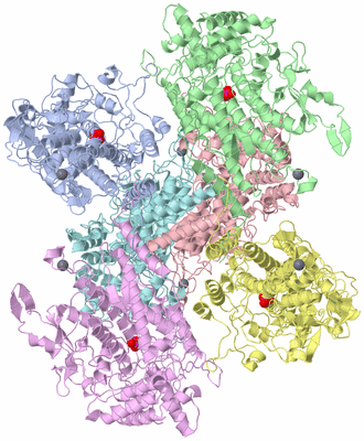 Image Asymmetric Unit