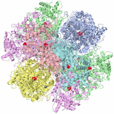 Image Biological Unit 1