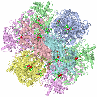 Image Biol. Unit 1 - sites