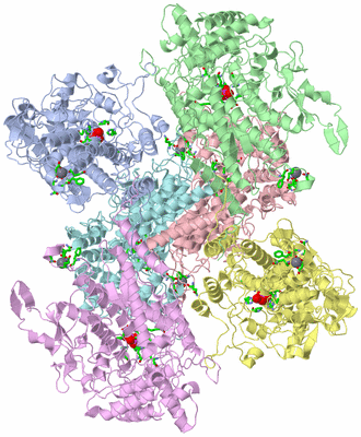 Image Asym. Unit - sites