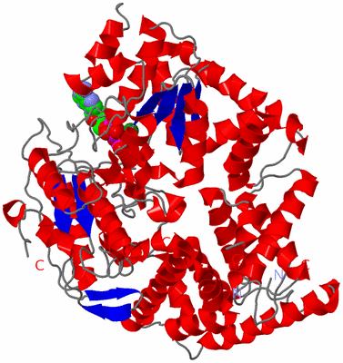Image Asym./Biol. Unit