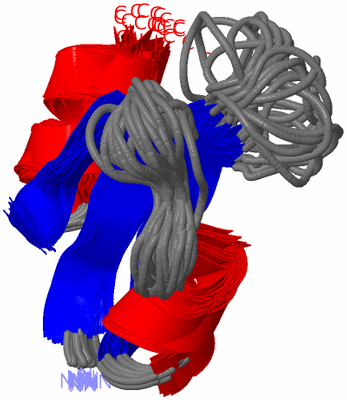 Image NMR Structure - all models