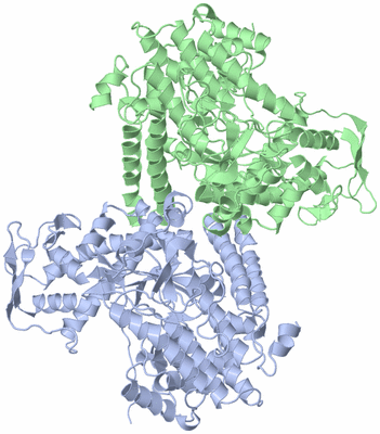 Image Asym./Biol. Unit