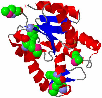 Image Asymmetric Unit