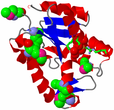 Image Asym. Unit - sites