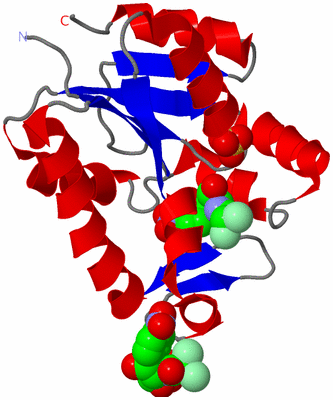 Image Asymmetric Unit