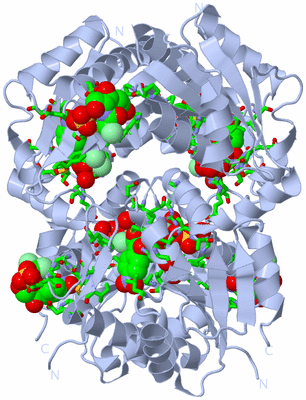 Image Biol. Unit 1 - sites