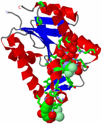 Image Asym. Unit - sites