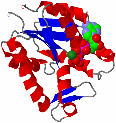 Image Asymmetric Unit