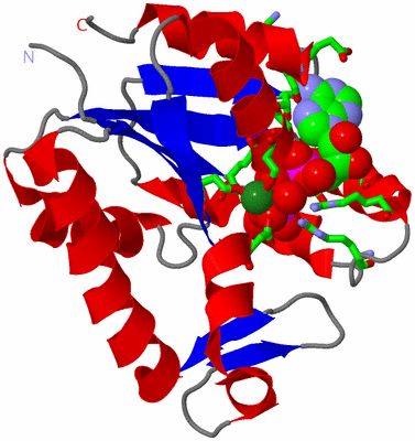 Image Asym. Unit - sites