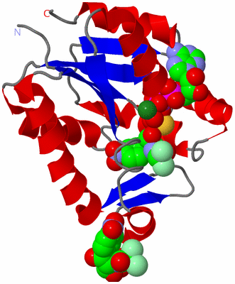Image Asymmetric Unit