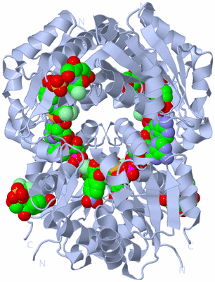 Image Biological Unit 1