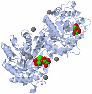 Image Biological Unit 2