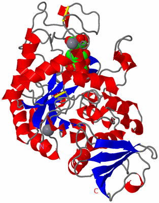 Image Asym./Biol. Unit