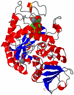 Image Asym./Biol. Unit