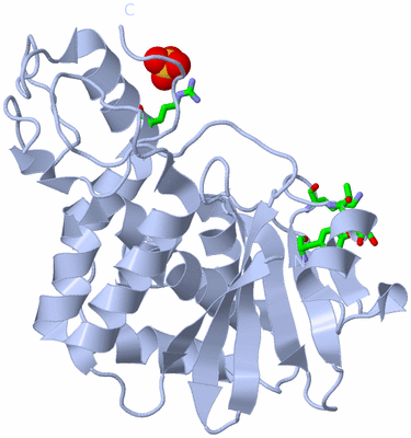 Image Biol. Unit 1 - sites