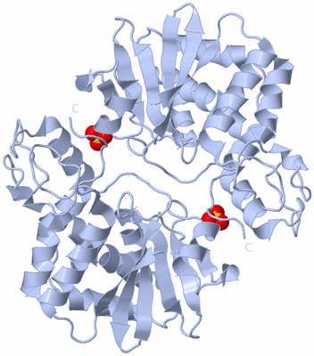 Image Biological Unit 2