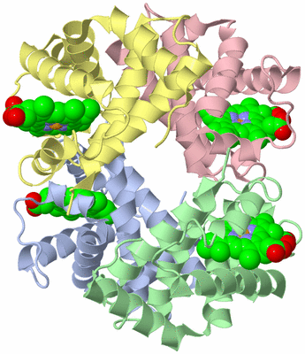 Image Asym./Biol. Unit